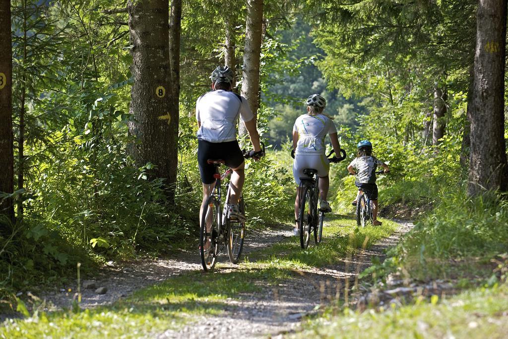 Ferienwohntraum Haller Nötsch Buitenkant foto