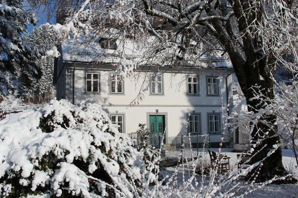 Ferienwohntraum Haller Nötsch Buitenkant foto